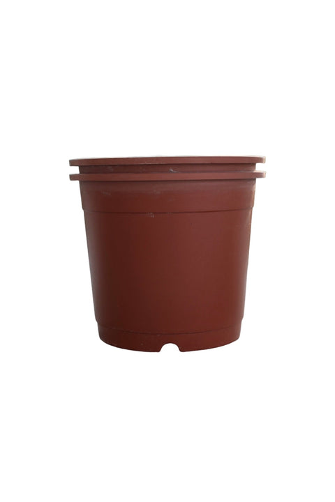 cosmoplast plant pot